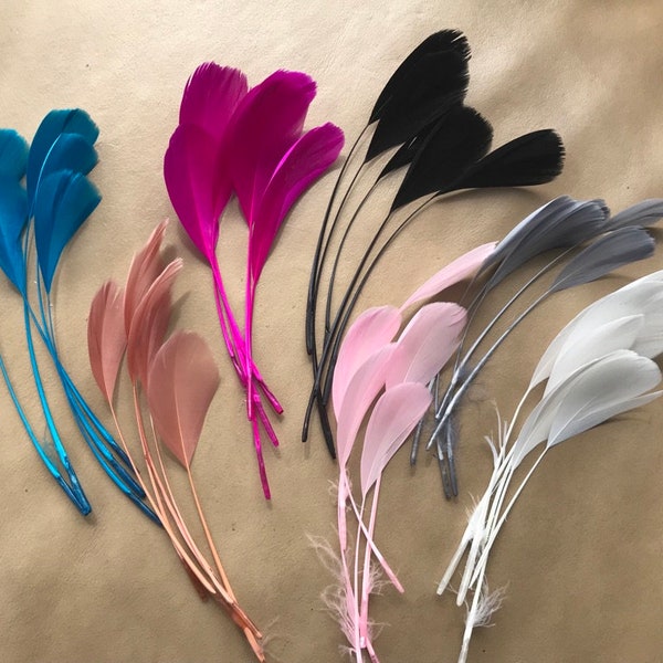 5 x Coloured Stripped Coque Feather 15-20 cm (6-8 inch) | UK | Millinery | Fascinator  | Hat | Craft | Wedding| Dream Catcher | Accessories