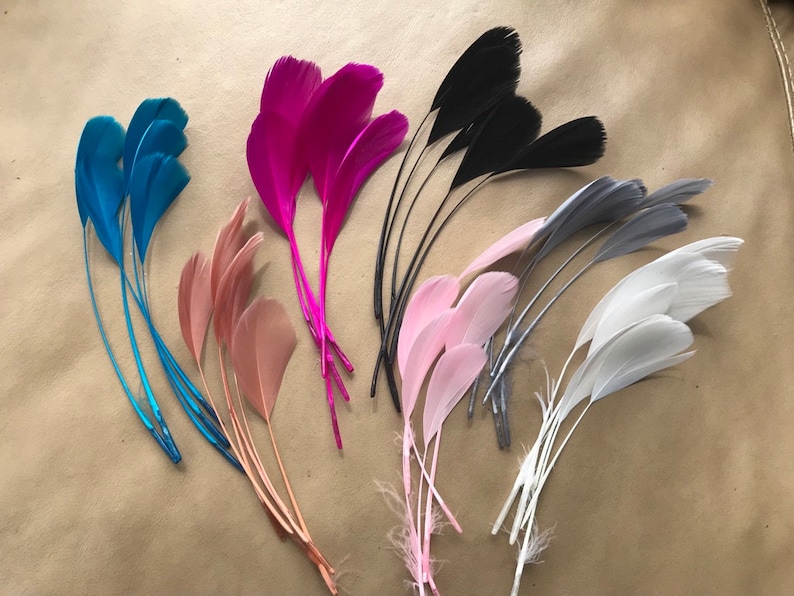 May include: Assortment of feathers in various colors, including pink, blue, black, white, and gray. The feathers are arranged in a fan shape on a brown surface.