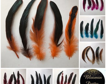 Coloured Rooster Feather | 12- 20cm | 7 colours | UK | Millinery | Fascinator | Hat | Craft | Dream Catcher | Accessories