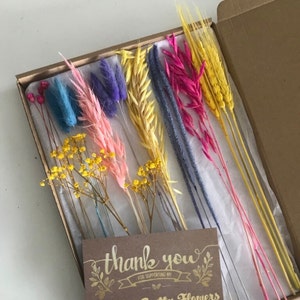 Flores secas coloridas de carnaval amigáveis à caixa de correio 30 cm | Arco-íris | Presente | Buquê Reino Unido | Cartão-presente personalizado | Presente LGBTQ | Decoração de interiores