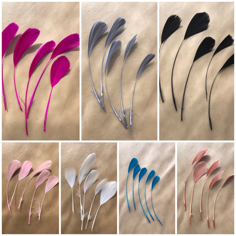 May include: Assortment of feathers in various colors, including pink, gray, black, white, blue, and peach. The feathers are arranged in groups of five, with each group featuring a different color.
