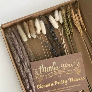 Ramo de flores secas de prado de 30 cm apto para buzón de correo / Regalo / Hierba bohemia / Tarjeta de regalo / Personalizado / Decoración de interiores
