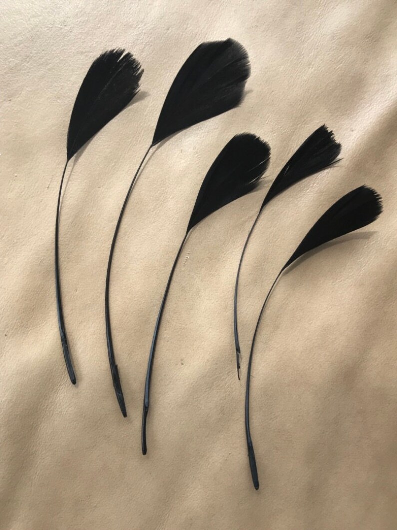 May include: Five black feathers with long, thin stems. The feathers are arranged in a fan shape on a light brown surface.