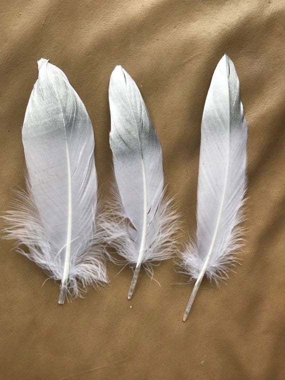Lot 10 Plumes D'Autruche Naturelles - 15-20 Cm - Création DIY Déco