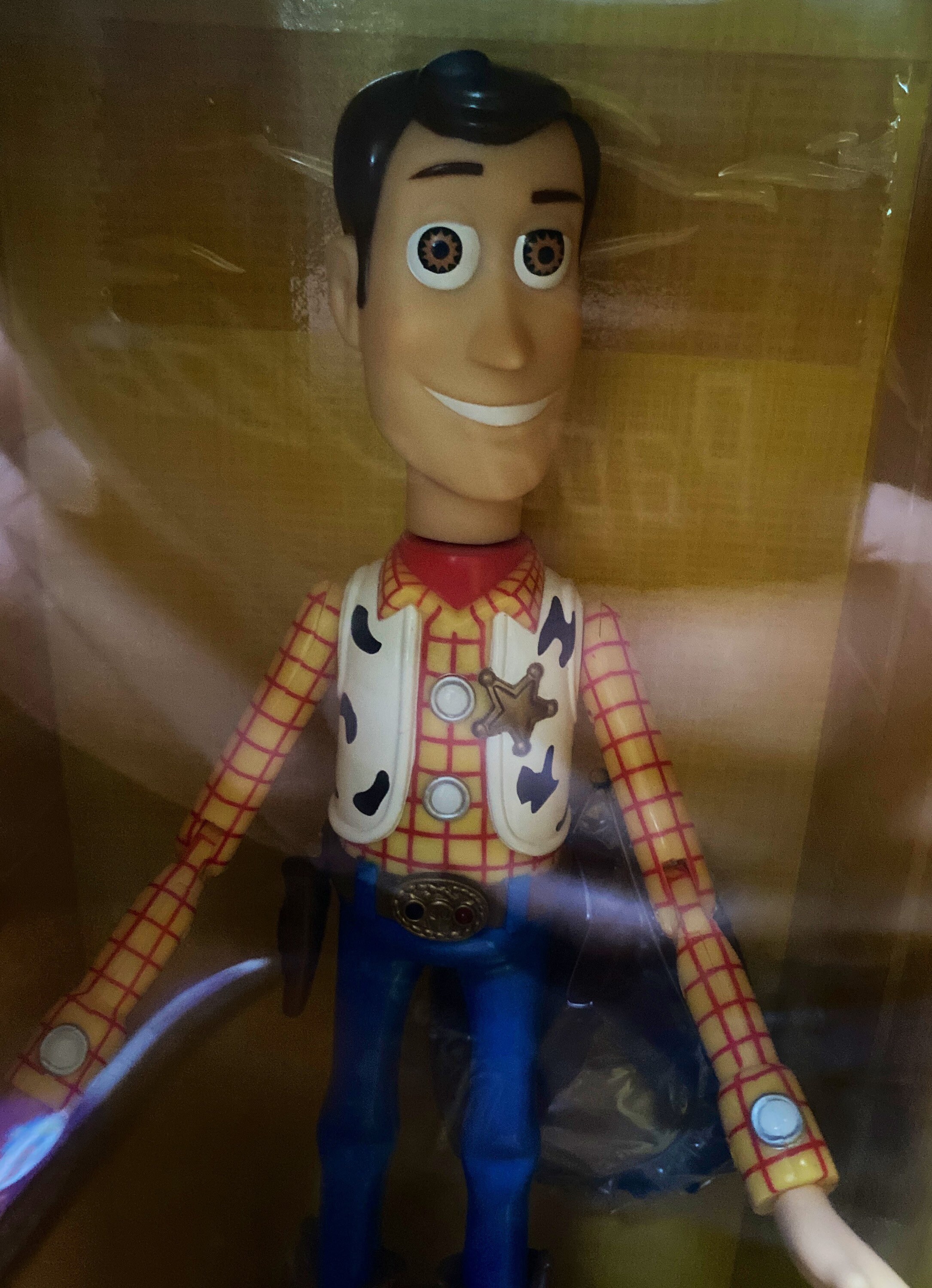 Woody Talking Room Guard - Etsy