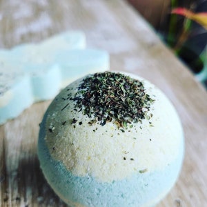 Citrus and Garden Mint Bath Bomb