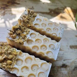 Kamille Honig mit Haferflocken Handmade Bar