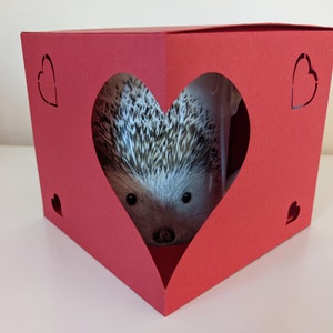 SVG Files voor deze Mug Presentation Box