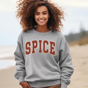 May include: A gray sweatshirt with the word "SPICE" printed in brown letters.