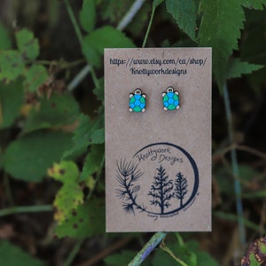 Turtle earrings, sea turtle, turtle jewelry, Nautical earrings, nature earrings, animal earrings, ocean jewelry, nautical