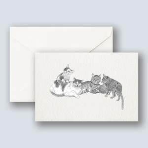Cute Cats | Kitties Blank Postcard | Group C(h)at
