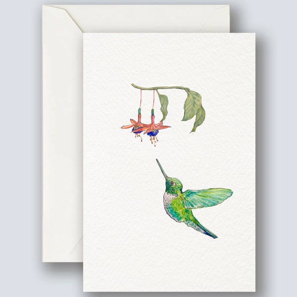 Hummingbird Blank Postcard | Hand Drawn | Birder Gifts | Notecard