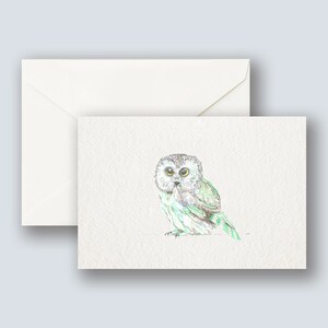 Baby Owl Greeting Cards | Bird Sighting | Bird Notecard