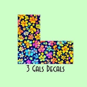 Tandem Mobi Insulin Pump Sticker - Diabetes Sticker - Rainbow Floral - Tandem t:slim Sticker - Diabetes Gift