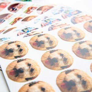 May include: A sheet of round stickers with a dog's face on each sticker. The dog has brown fur, a black nose, and a pink tongue sticking out. The stickers are printed on white paper.