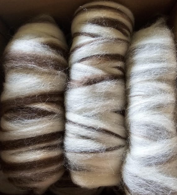 Roving - White and Brown Alpaca