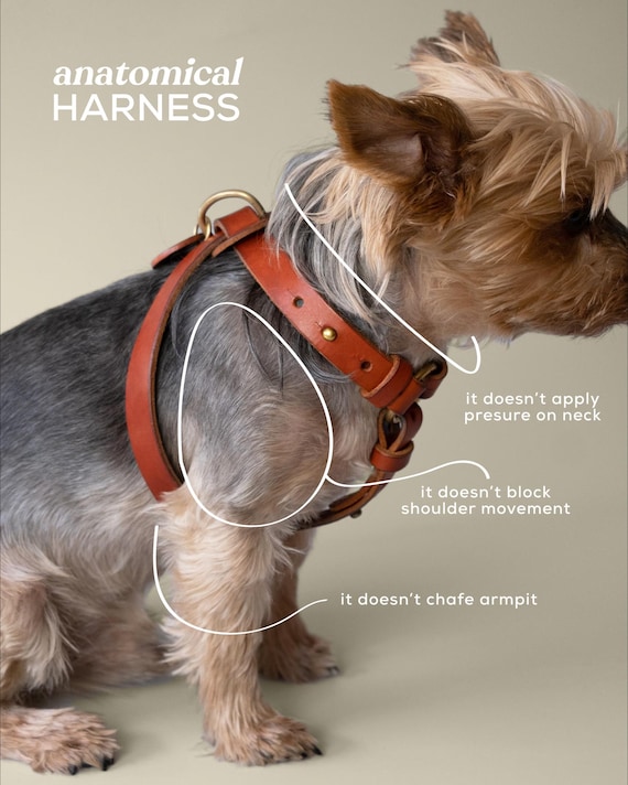 aufbewahrung ruckscke Rucksack-Halter  Yamazaki Home Europe