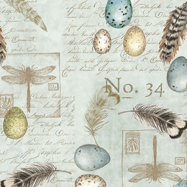 Keys to the Garden Script, Feathers and Bird Eggs Lt. Teal Cotton Fabric by Susan Wingate