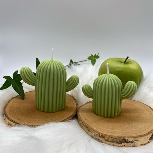 Cacti scented candles set of 2 height 5-6.5 cm | Handmade in Germany | Cactus candle apple aroma decoration romantic gift set