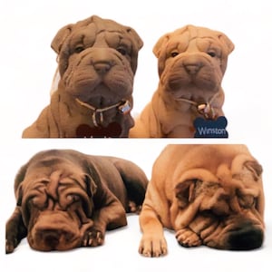 Shar pei candle, bespoke candle, dog candle, unique candle, memorial candle, unusual candle, decorative candle, birthday candle