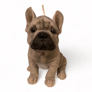 French bull dog candle  frenchie candle, frenchy candle, birthday candle gift, dog lover gift, decorative candles, personalised candles,
