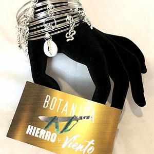 May include: Silver charm bracelet with multiple charms, including a peace sign, a seashell, and a snake. The bracelet is on a black display stand with a gold tag that reads "BOTANICA HIERRO Y VIENTO".