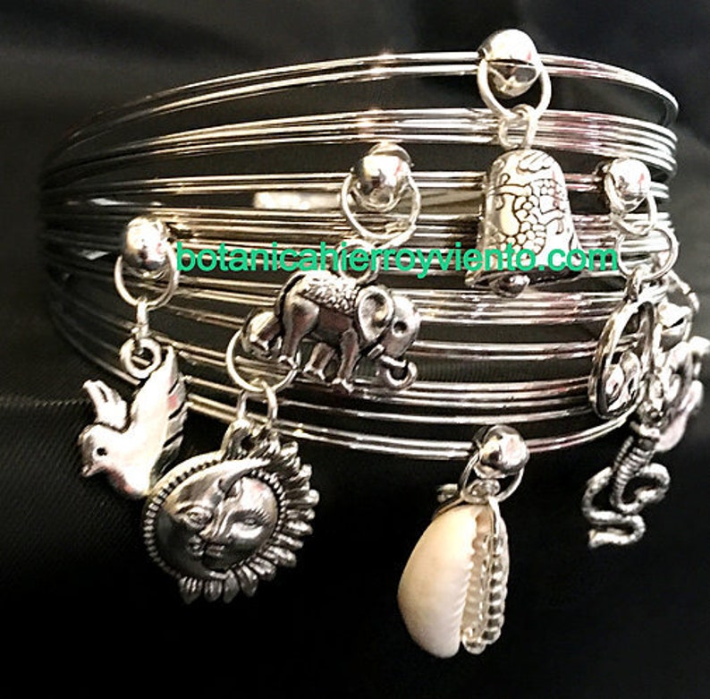 May include: Silver charm bracelet with multiple charms, including a dove, sun, elephant, seashell, and a bell with the text "botanicaherroyviento.com".