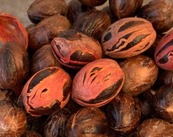 Nutmeg Whole Wildcrafted From (Grenada) Aromatic Spice, Pure, Vegan, Nutty Flavor. Rich in Antioxidants Essential Oils Spice Blends