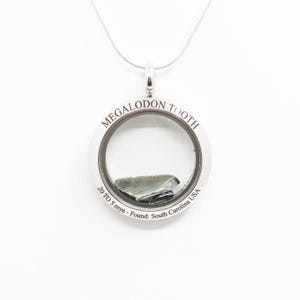 Megalodon Shark tooth fossil necklace, shaker pendant style, circular minimalist necklace with snake chain
