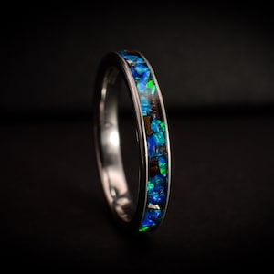 T. Rex dinosaur tooth fossil and meteorite custom handmade ring