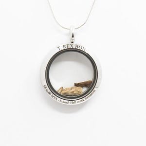 T- Rex bone, real Dinosaur fossil necklace, shaker pendant style, circular minimalist style, Engraved