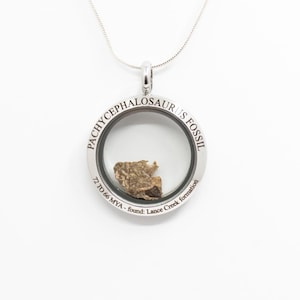 Pachycephalosaurus fossil, real Dinosaur bone necklace, shaker pendant style, circular minimalist style, Engraved with sterling silver chain
