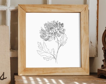 November Birth Flower Wall Art - Chrysanthemum Ink Illustration