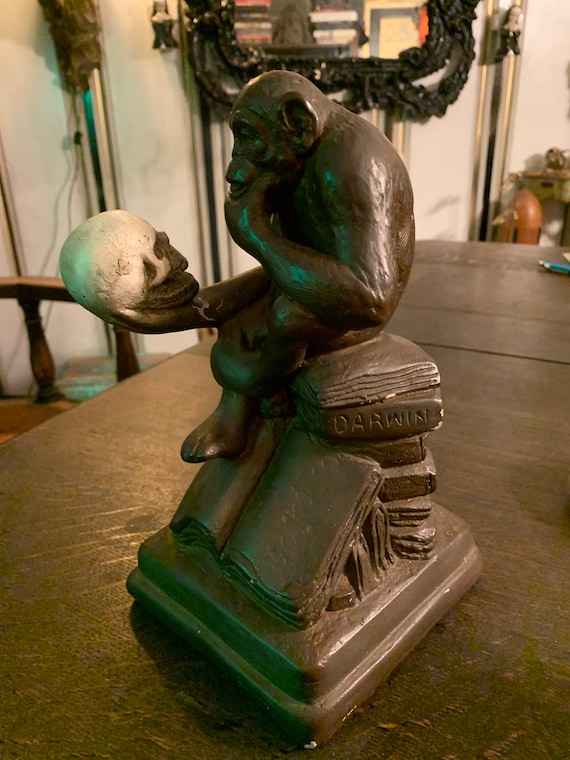 Antique 1940s Darwin Console Monkey/skull Book End Memento Mori
