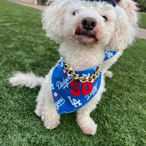 Bandana azul de béisbol para perro - Bandana de los Dodgers