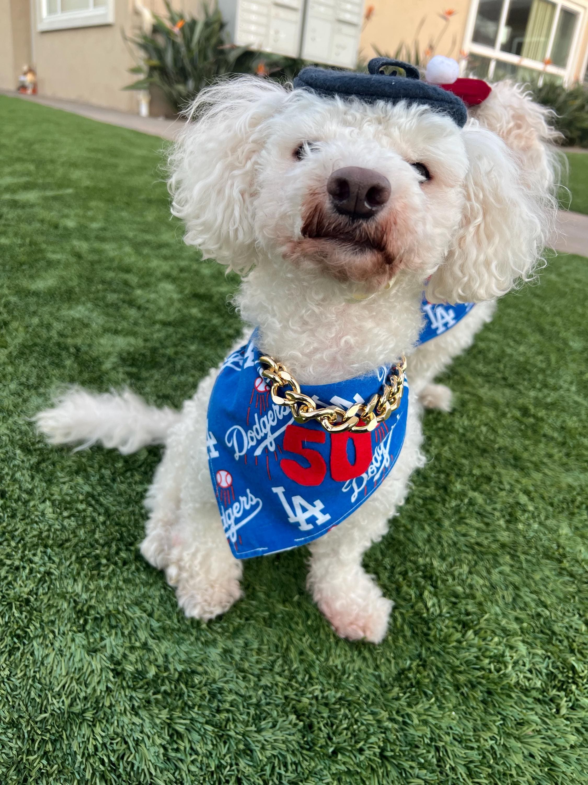 Dodger Stadium Dodgers Dog Sweater Dodger Dogs