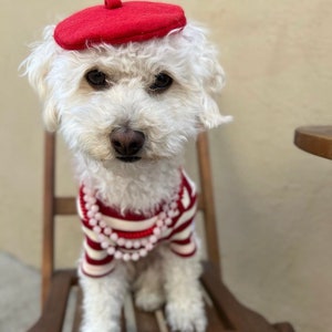 赤いベレー帽 - ペット、犬、猫| ペットへのバレンタインギフト