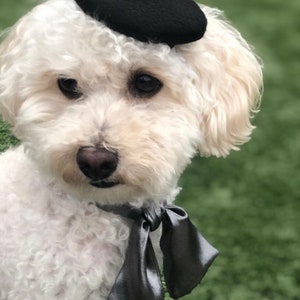 ブラックフェルトペットベレー帽：エレガントなフレンチスタイルの猫/犬用帽子