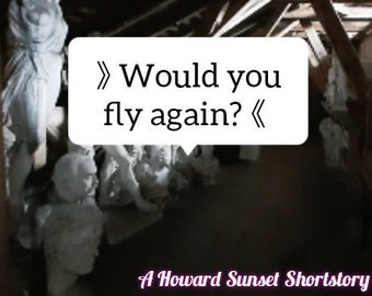 An English Suspense Story - "Would you fly again?"
