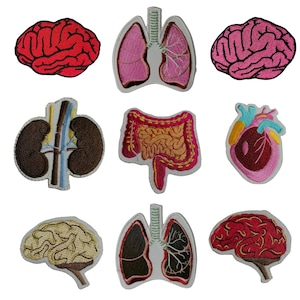 Menschliche Organe Stickerei Patches Aufnähen Jacken Jeans Krankenhaus Krankenschwester Arzt Kardiologie Niere Lunge Gehirn Darm Klinik