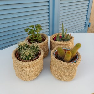 Może przedstawiać: Cztery sukulenty w doniczkach w plecionych koszach. Sukulenty to różne rodzaje kaktusów i zielonych roślin. Kosze są w naturalnym kolorze beżowym.