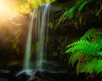 Girrakool Falls, Art Print, Waterfall, Ferns, Wall Art, Nature Photography, Photo Print from Central Coast New South Wales Australia