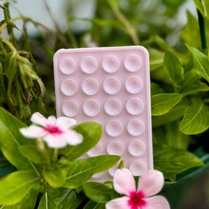 May include: A pink silicone pop it fidget toy with 25 dimpled circles. The toy is in focus and is surrounded by green leaves and pink flowers.