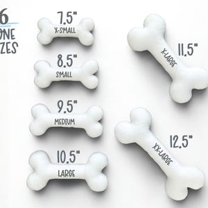 May include: White dog bone toys in six sizes, from X-Small at 7.5 inches to XX-Large at 12.5 inches. The image shows the sizes labeled with text: X-SMALL, SMALL, MEDIUM, LARGE, X-LARGE, and XX-LARGE. The text "6 BONE SIZES" is at the top.