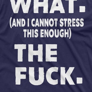 WTF Shirt Funny WTF Shirt Men's Rude Offensive T-Shirt Sarcastic Tee Funny Birthday Gift Shirt With Saying Funny Christmas Gift For Friend immagine 6