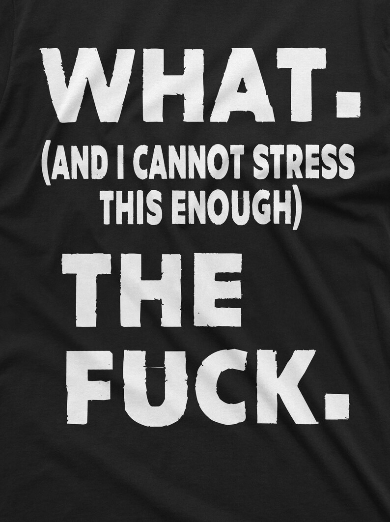 WTF Shirt Funny WTF Shirt Men's Rude Offensive T-Shirt Sarcastic Tee Funny Birthday Gift Shirt With Saying Funny Christmas Gift For Friend immagine 7