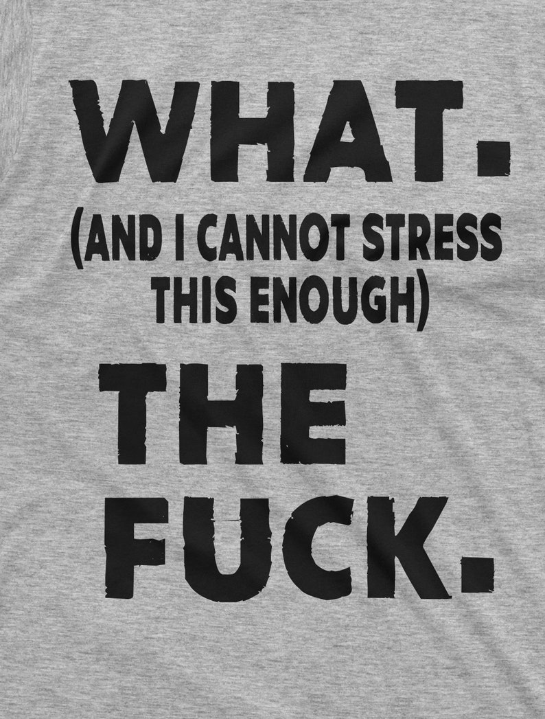 WTF Shirt Funny WTF Shirt Men's Rude Offensive T-Shirt Sarcastic Tee Funny Birthday Gift Shirt With Saying Funny Christmas Gift For Friend immagine 8
