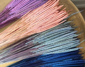 Painted Dried Phleum Grass: DIY Floral Arrangement Supplies