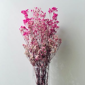 Baby's Breath, Gypsophila Preserved Pink Color, Dried Flowers, Dried Plants, DIY Flower Arrangements, Wedding Bouquet Supplies