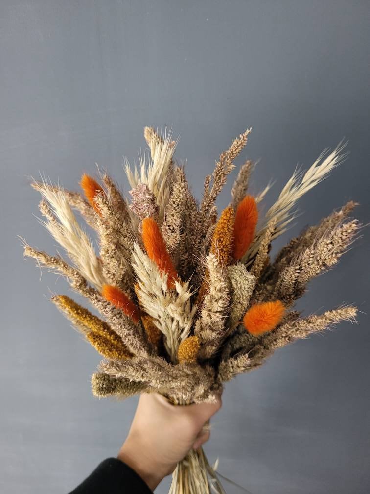 Black Dried Pampas Grass Stem XL, 120 cm l Dried Cortaderia – Dried Flowers  Decor